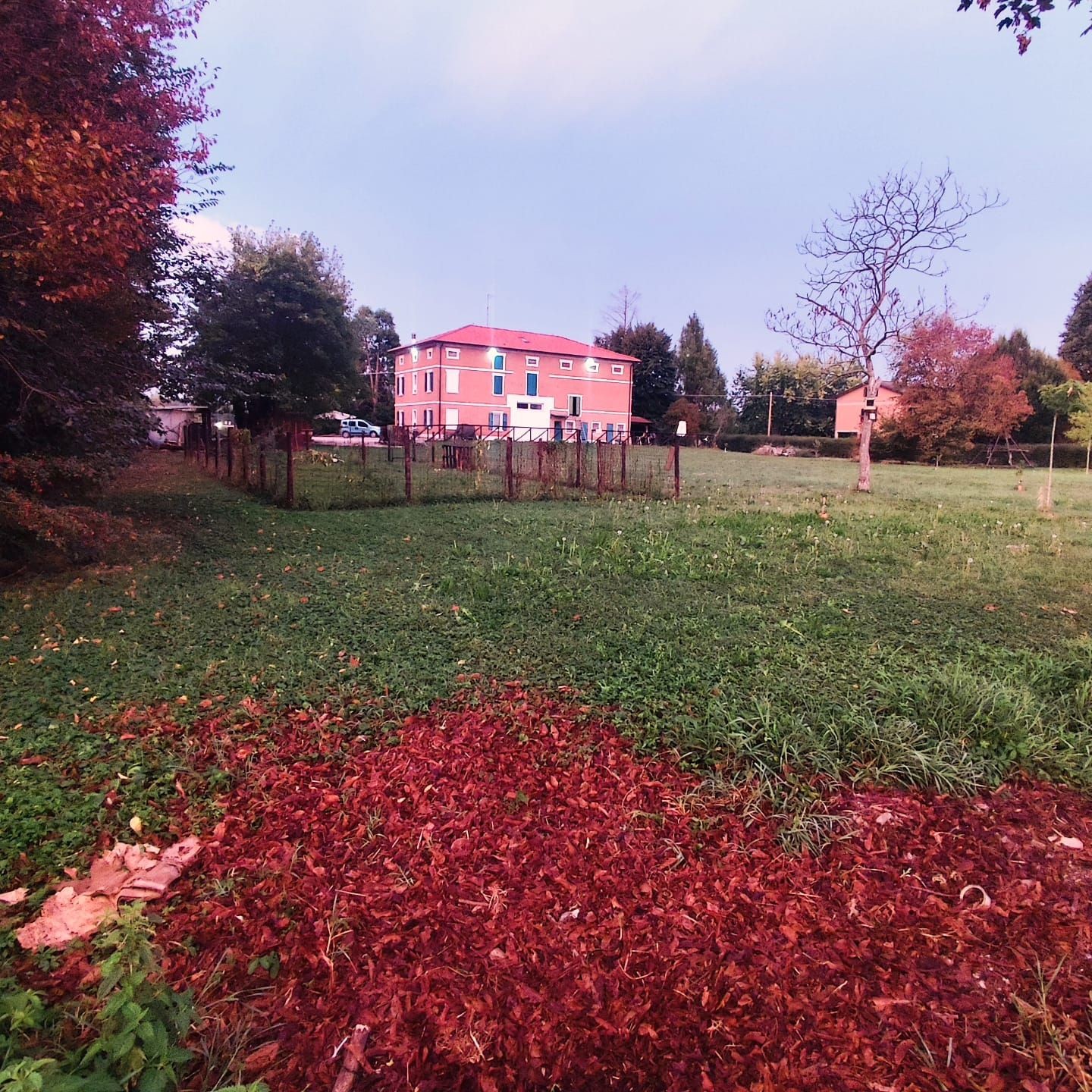 Rispetto per la Natura